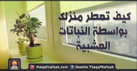 كيف تعطر منزلك بواسطة النباتات العشبية