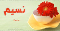 معنى اسم نسيم وصفات حامل الاسم