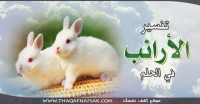 تفسير الأرانب في الحلم