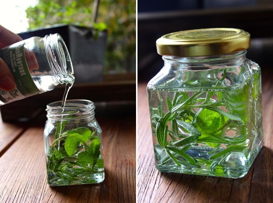 طريقة عمل زيت النعناع بالمنزل بالصور كيف تستخلص زيت النعناع من أوراقه