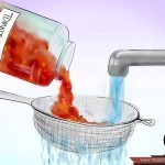 بالصور خطوة بخطوة طريقة زراعة بذور الطماطم وكيف يمكنك القيام بزراعتها