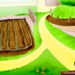 بالصور خطوة بخطوة طريقة زراعة بذور الطماطم وكيف يمكنك القيام بزراعتها