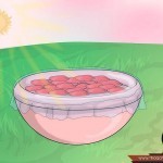 بالخطوات طريقة عمل مزيل عرق طبيعي بالصور بخلاصة ماء الورد