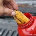 بالصور كيف تستفيد من قشر الموز ١٢ استفادة خيالية