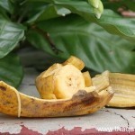 بالصور كيف تستفيد من قشر الموز ١٢ استفادة خيالية