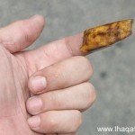 بالصور كيف تستفيد من قشر الموز ١٢ استفادة خيالية