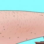 في البيت تعلمي طريقة عمل السويت لازالة الشعر بالصور خطوة بخطوة في البيت تعلمي طريقة عمل السويت لازالة الشعر بالصور خطوة بخطوة