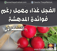 الفجل فوائد مدهشة تعرف على اهم فوائد الفجل