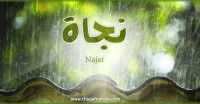 معنى اسم نجاة وصفات حاملة الاسم معنى اسم نجاة وصفات حاملة الاسم