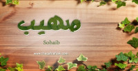معنى اسم صهيب وصفات حامل الاسم معنى اسم صهيب وصفات حامل الاسم