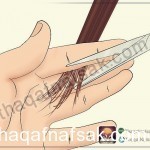 بالصور طرق الاهتمام بالشعر الدهني ١١ نصيحه و مجموعة تحذيرات