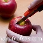 طريقة عمل شمعة التفاح بالصور لإضاءة ليلية رومانسية في المنزل طريقة عمل شمعة التفاح بالصور لإضاءة ليلية رومانسية في المنزل