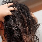بالصور طريقة عمل بلسم للشعر الجاف والمجهد بالصور طريقة عمل بلسم للشعر الجاف والمجهد
