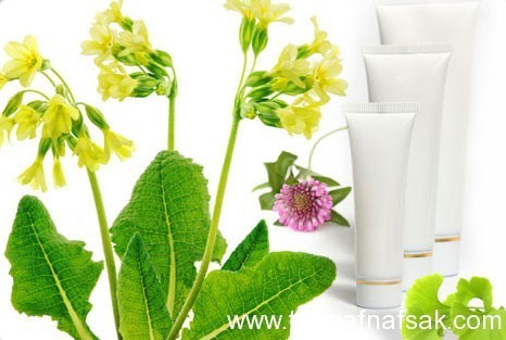 السيلوليت مشكلة كيف يمكن مواجهتها والتخلص منها