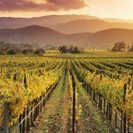 للعُشاق فقط أرق فنادق رومانسية حول العالم