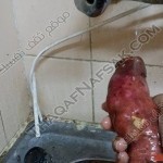 حضري البطاطا الحلوة فى الفرن وأستمتعي بأحلى طعم لها