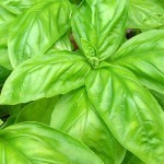 علاج الحموضة بالاعشاب في المنزل 11 وصفة مختلفة