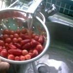 وصفتنا لتحضير مربي الفلفل الحار بالصور