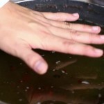 طريقة تصفية زيت القلي لإعادة إستخدامه مرة أخري