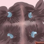 طرق صبغ الشعر بالصور بنفسك وفي المنزل