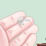 بالصور كيفية التخلص من شعر الظهر المزعج بطرق بسيطة خطوة بخطوة