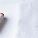 بالصور طرق إزالة الشعر بالخيط بنفسك من كل أماكن الجسم