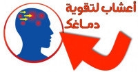 مجموعة توابل و اعشاب لزيادة الذكاء و تحفيز قدرة الدماغ مجموعة توابل و اعشاب لزيادة الذكاء و تحفيز قدرة الدماغ