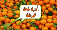 تناول المزيد من البرتقال و تعرف على فوائد البرتقال الـ ١٥ الرائعة