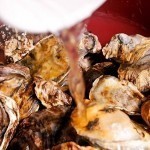 بالصور وصفة عمل شوربة بلح البحر