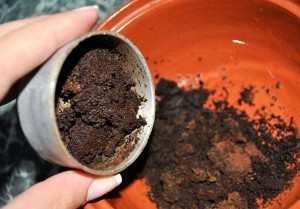 بالصور مقشر القهوة لتقشير وتنعيم الجسم بالصور مقشر القهوة لتقشير وتنعيم الجسم