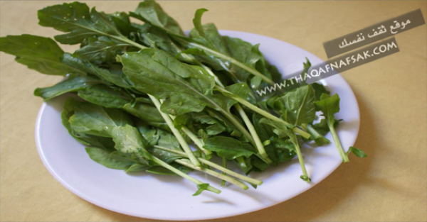 ٦ فوائد في الجرجير لشعر صحي ونمو بشكل طبيعي