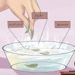 بالصور خطوات تنظيف الوجه بالبخار بالصور خطوات تنظيف الوجه بالبخار
