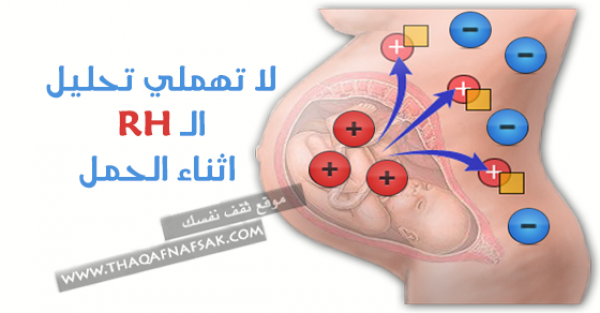ماهو أختبار RH اثناء الحمل وما أهميته وخطورة تجاهله ؟ ماهو أختبار RH اثناء الحمل وما أهميته وخطورة تجاهله ؟