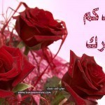 حصريا : خلفيات وبطاقات تهنئة عيد الأضحى