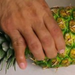 بالصور تعلم تقطيع الأناناس