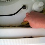 طرق تنظيف غسالة الأطباق