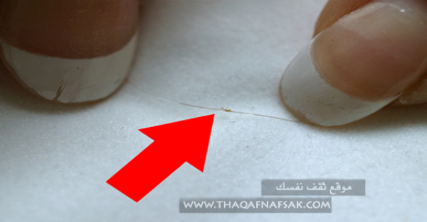 علاج القمل المنتشر في الشعر بوصفات منزلية سهلة علاج القمل المنتشر في الشعر بوصفات منزلية سهلة