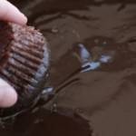 طريقة عمل كيك الهوهوز بالصور