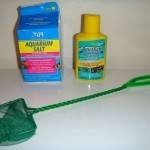 طرق تنظيف حوض السمك بالصور