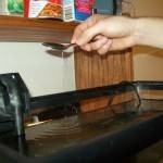 طرق تنظيف حوض السمك بالصور