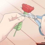 طريقة عمل العطور في المنزل بالصور ٥ طرق متنوعة ذات رائحة جذابة طريقة عمل العطور في المنزل بالصور ٥ طرق متنوعة ذات رائحة جذابة