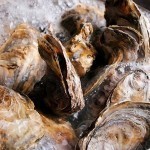 شوربة المحار الصحية بالصور