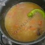 بالصور لسان العصفور المفلفل بالصور لسان العصفور المفلفل