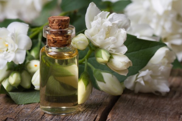 فوائد زيت الياسمين الرائعة فوائد زيت الياسمين الرائعة