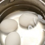 ٣ وصفات مختلفة لتحضير سلطة الفراخ بالصور ٣ وصفات مختلفة لتحضير سلطة الفراخ بالصور