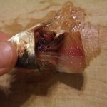 طريقة جديدة لعمل الرنجة بالصور ” مخلل الرنجة “