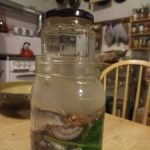 طريقة جديدة لعمل الرنجة بالصور ” مخلل الرنجة “