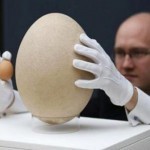 أكثر البيضات المثيرة للاهتمام في العالم