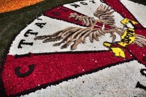 مهرجان الزهور في انفيوراتا في ايطاليا