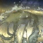 كيفية تنظيف الحوض وبالوعة المطبخ بالليمون